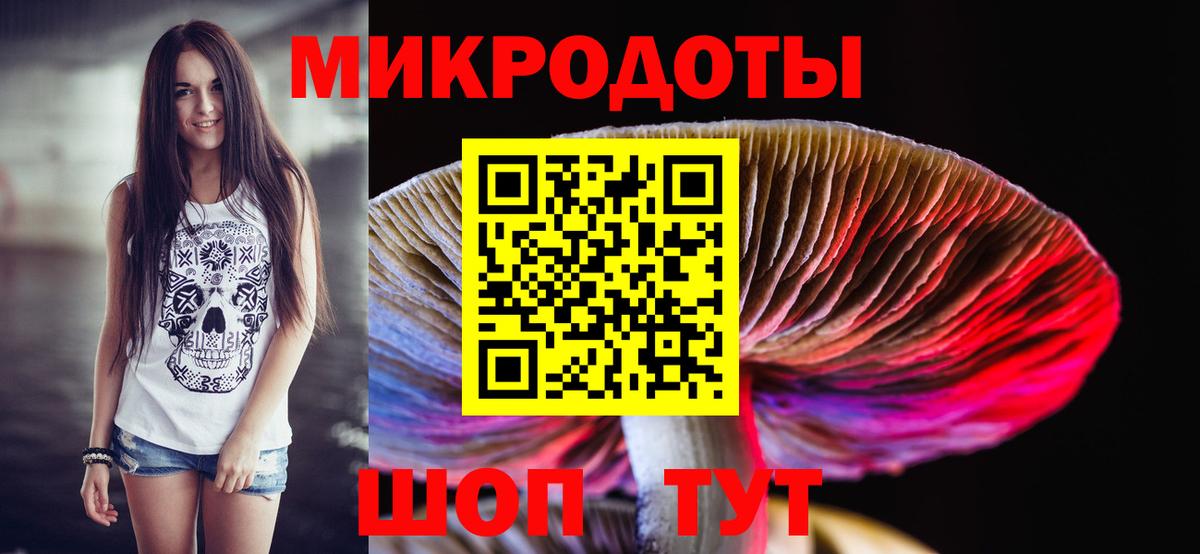 Галлюциногенные грибы Cubensis  Вход с VPN  Тулун 